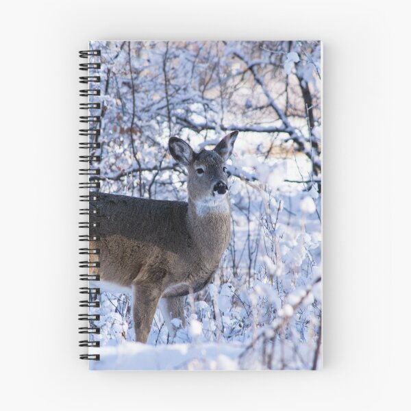 Item preview, Young white-tailed deer designed and sold by CanadianWild418.