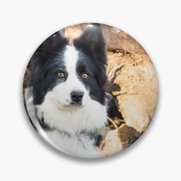 Item preview, Sally - A Working Dog designed and sold by Clare Colins.