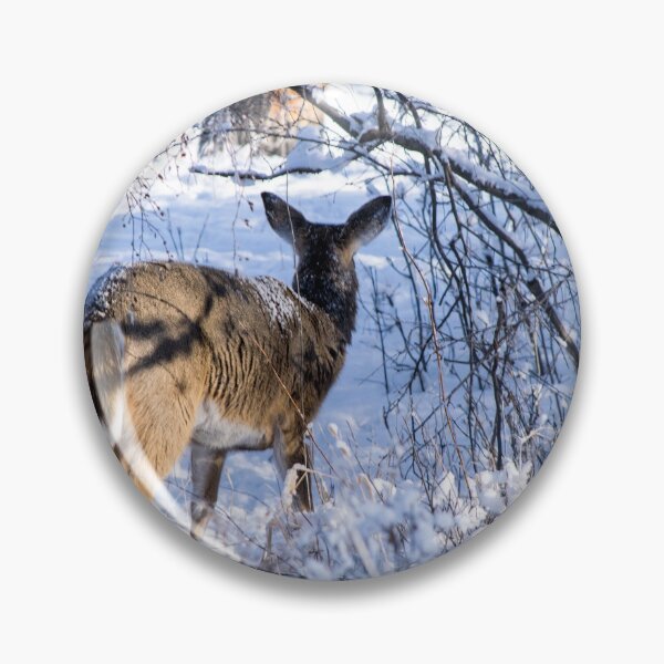 Item preview, White tailed doe. designed and sold by CanadianWild418.