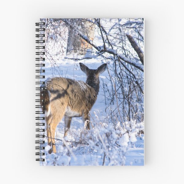 Item preview, White tailed doe. designed and sold by CanadianWild418.