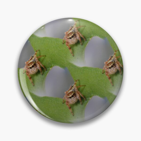 Item preview, ©NS Spider Wall IA. designed and sold by OmarHernandez.