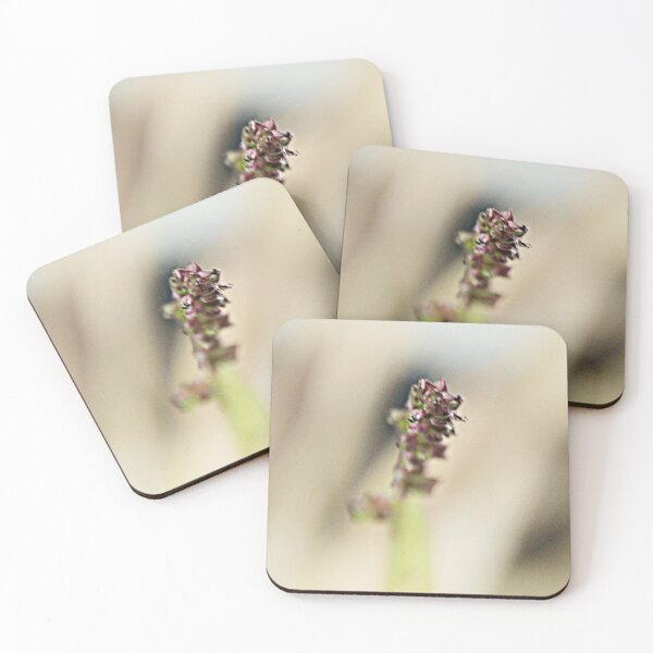 Item preview, ©NS Softly Focus IA. designed and sold by OmarHernandez.