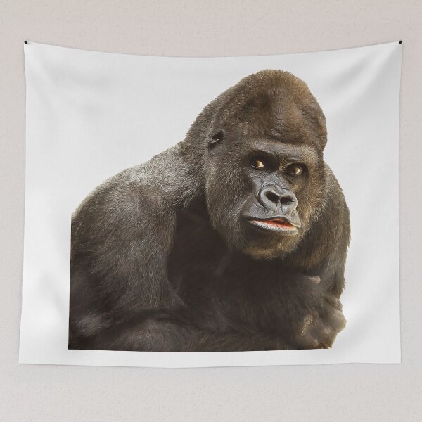 Item preview, Gorilla designed and sold by africanvisuals.
