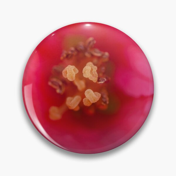 Item preview, Chaenomeles flower macro designed and sold by gcmadan.