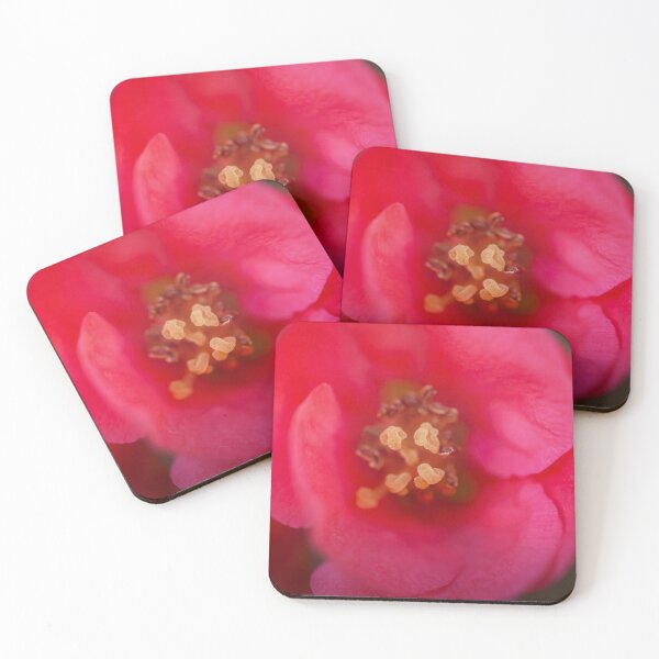 Item preview, Chaenomeles flower macro designed and sold by gcmadan.