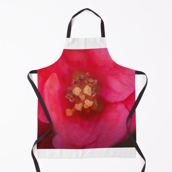Item preview, Chaenomeles flower macro designed and sold by gcmadan.