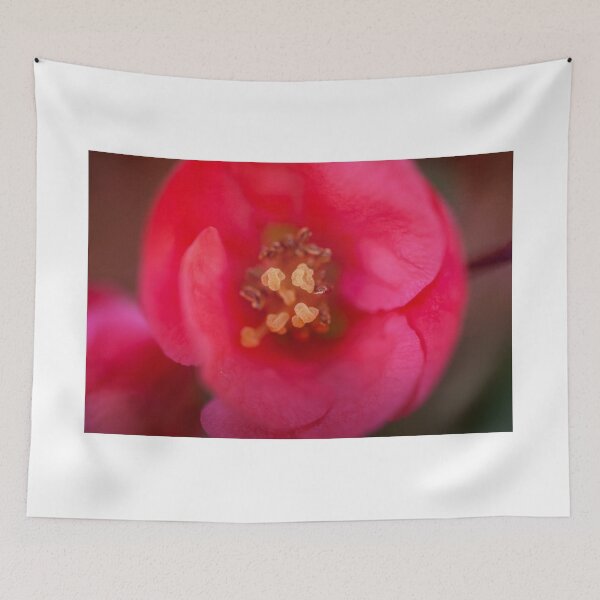 Item preview, Chaenomeles flower macro designed and sold by gcmadan.