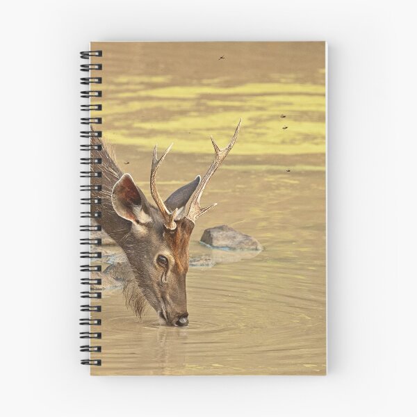 Item preview, Sambar deer designed and sold by gcmadan.