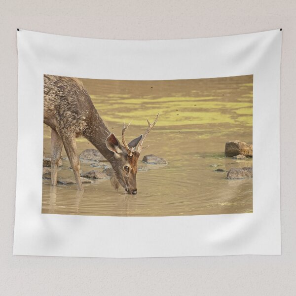 Item preview, Sambar deer designed and sold by gcmadan.
