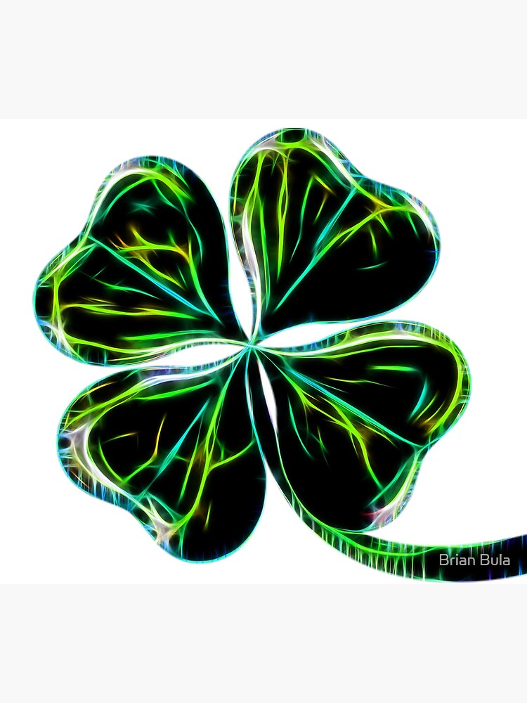 Brian Bula 100 Bulk Bumper Stickers and Custom Bumper Stickers Car & Vehicle Accessories