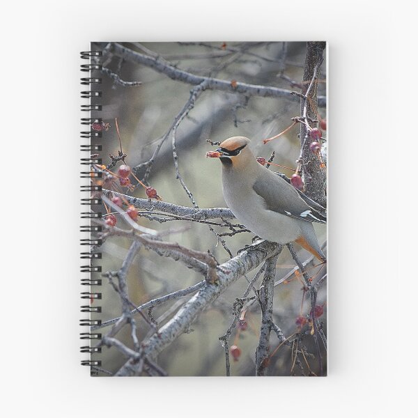 Item preview, Waxwing feeding. designed and sold by CanadianWild418.