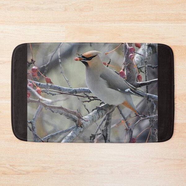 Item preview, Bohemian waxwing feasting on berries designed and sold by CanadianWild418.