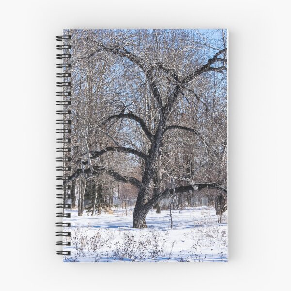Item preview, Bur Oak tree. designed and sold by CanadianWild418.