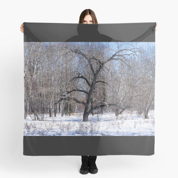 Item preview, Bur Oak tree. designed and sold by CanadianWild418.