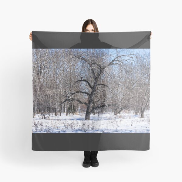 Item preview, Bur Oak tree. designed and sold by CanadianWild418.