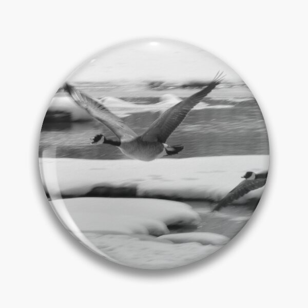 Item preview, Geese coming in for a landing in black and white designed and sold by CanadianWild418.