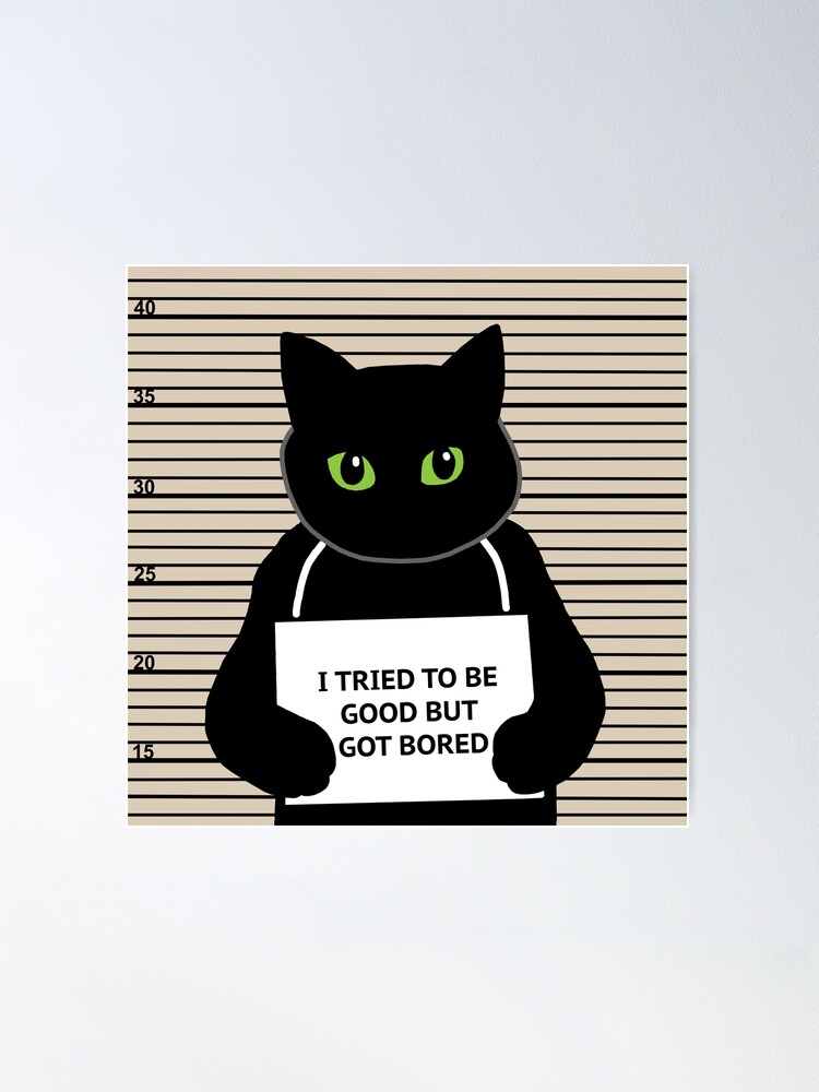 Funny Bad Boy Black Cat In Cat We Trust Metal Novelty Poster -  Portugal