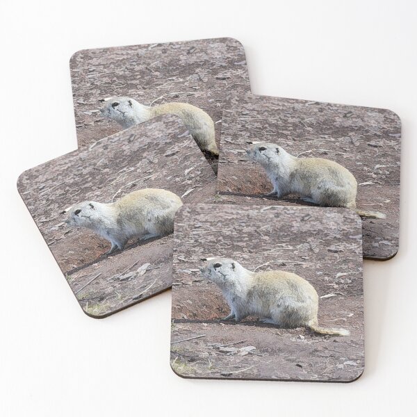 Item preview, Prairie gopher. designed and sold by CanadianWild418.