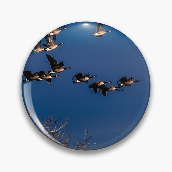 Item preview, Geese in flight designed and sold by CanadianWild418.