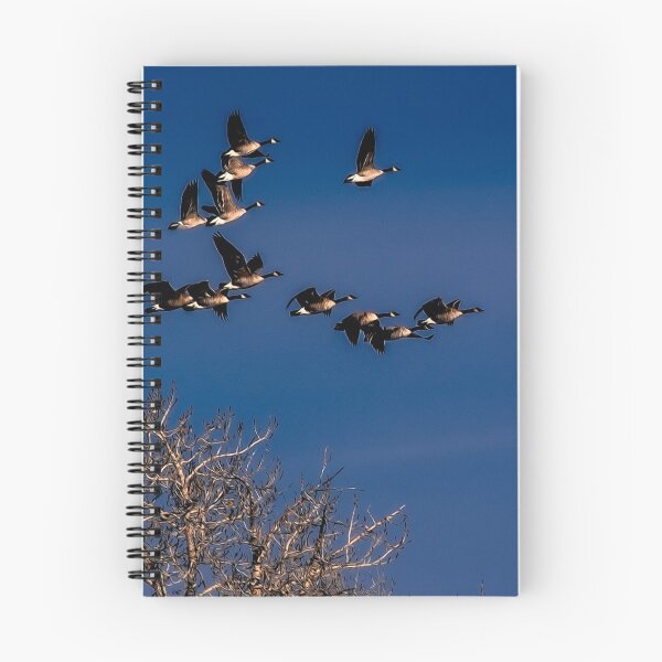 Item preview, Geese in flight designed and sold by CanadianWild418.
