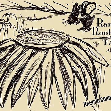 Vorschaubild zum Design Mrs.Roo Buzz - Rancho Roots Farm von RanchoRootsFarm