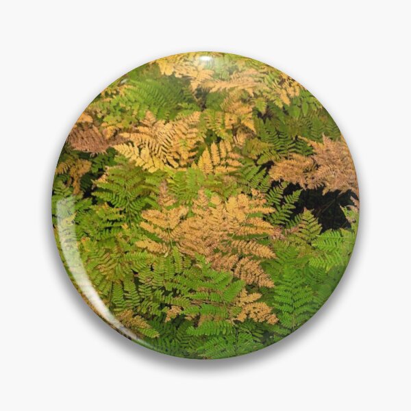Item preview, Ferns In Fall designed and sold by Tara  Baxendale.