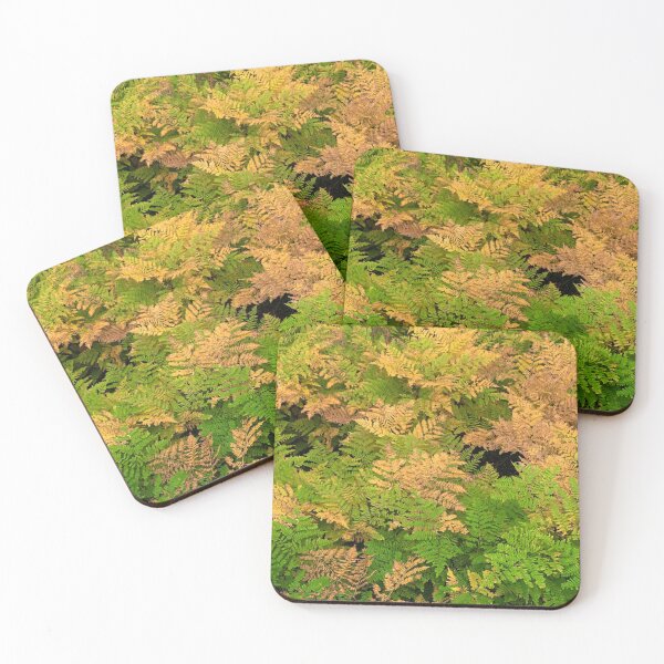 Item preview, Ferns In Fall designed and sold by Tara  Baxendale.