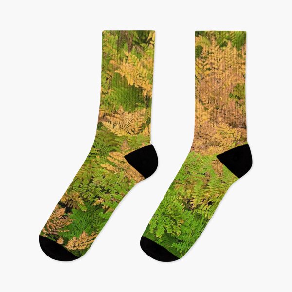 Item preview, Ferns In Fall designed and sold by Tara  Baxendale.