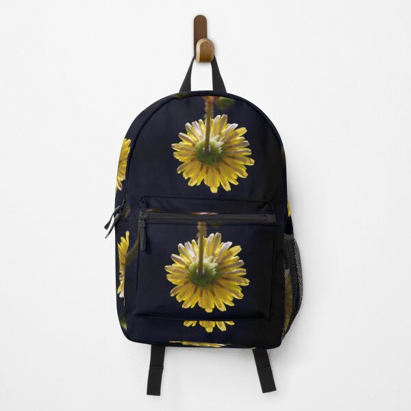 Item preview, ©NS Light Shine For All IA. designed and sold by OmarHernandez.