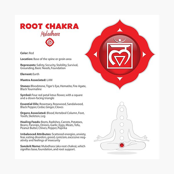 Item preview, Root Chakra Chart -06b designed and sold by chakraplaza.