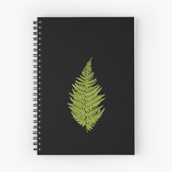 Item preview, Vintage Fern Leaf Drawing 001 designed and sold by Darwin F.