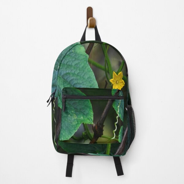 Item preview, Tropical cucumber plant designed and sold by Mariolangstieh.