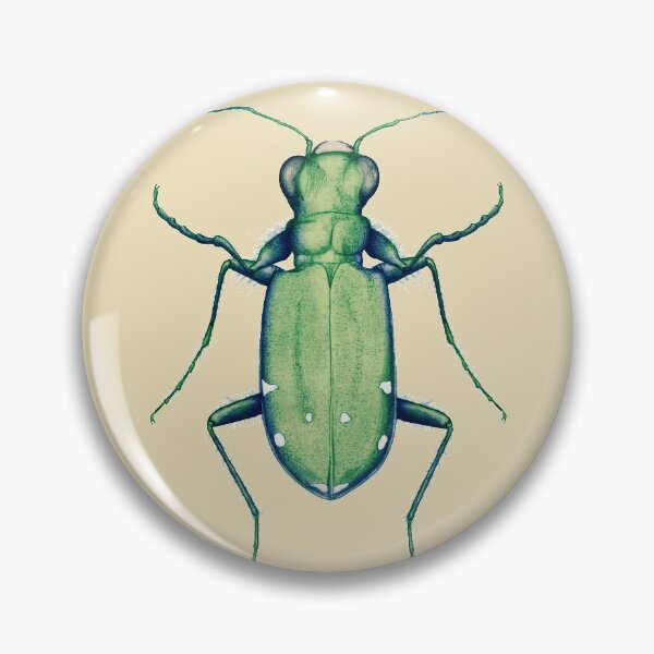 Item preview, Vintage-style Tiger Beetle designed and sold by Syrza.