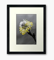 Pop-Colour Flower Framed Print