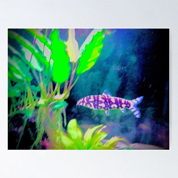 Item preview, polka dot loach designed and sold by CustomMonster.