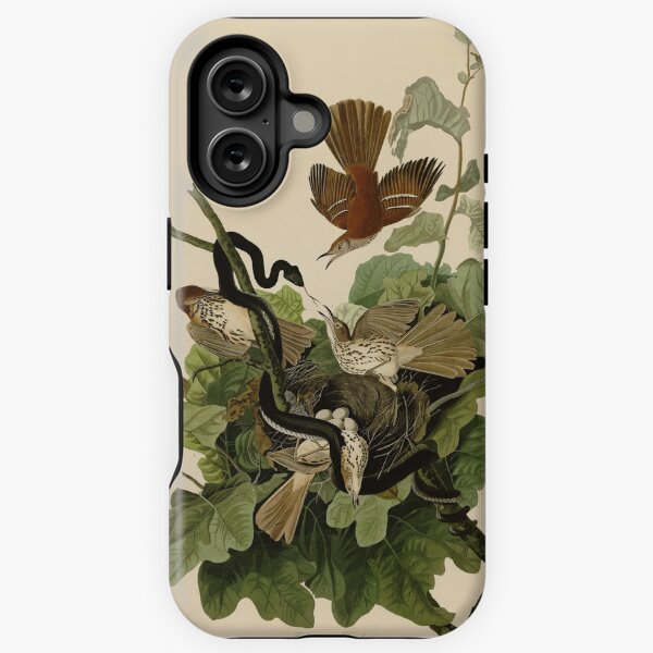 Item preview, 116 Ferruginous Thrush designed and sold by Bird-Lore.
