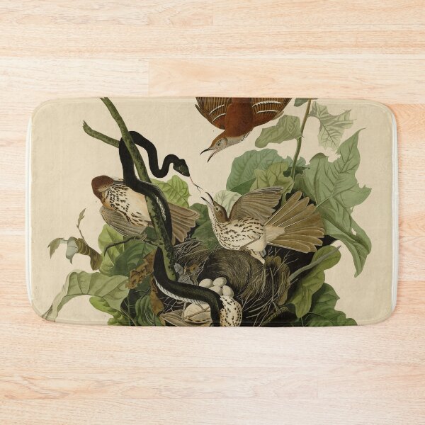 Item preview, 116 Ferruginous Thrush designed and sold by Bird-Lore.