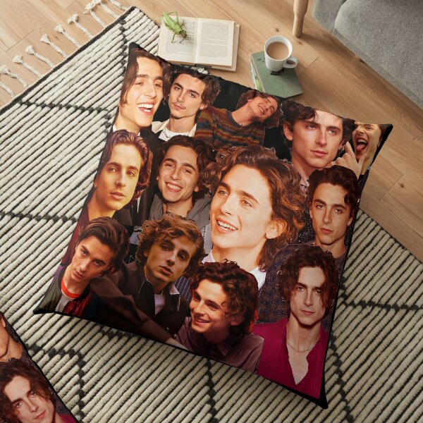 Timothee Chalamet Picture Pillows Cushions Redbubble