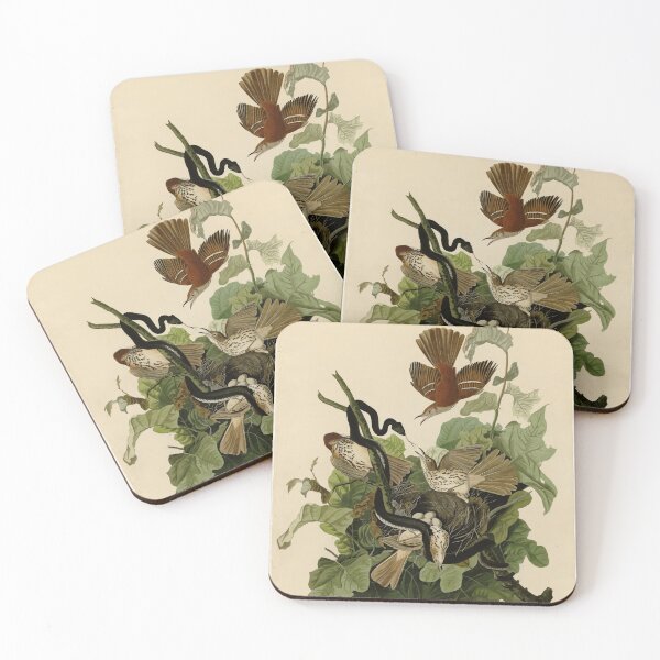 Item preview, 116 Ferruginous Thrush designed and sold by Bird-Lore.