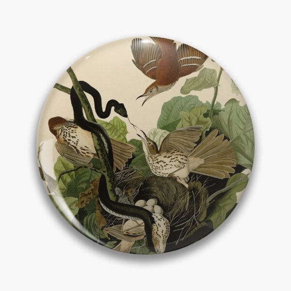 Item preview, 116 Ferruginous Thrush designed and sold by Bird-Lore.