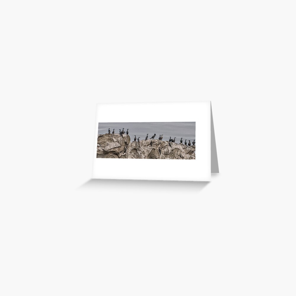 Cormorants on the Belle Chain. Greeting Card