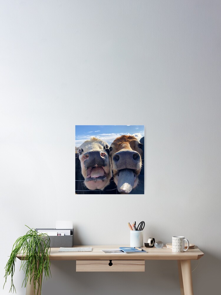 Thumbnail 2 von 3, Poster, Kuh lecken designt und verkauft von SweetPossum.