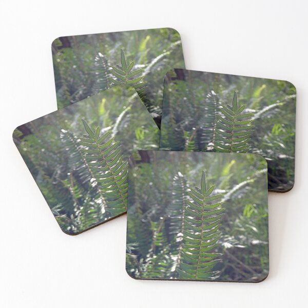Item preview, Fishbone Water Fern designed and sold by GP1746.