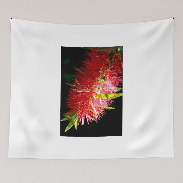 Item preview, Red Callistemon designed and sold by GP1746.