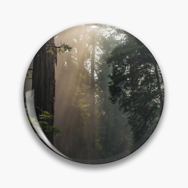 Item preview, Mysterious Forest Photographic Artwork designed and sold by LordAudes.
