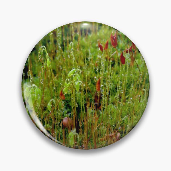 Item preview, Rainy Moss designed and sold by GP1746.