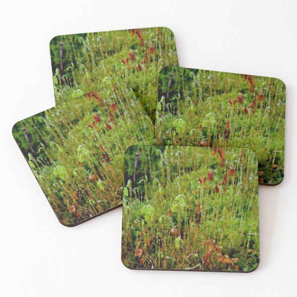 Item preview, Rainy Moss designed and sold by GP1746.