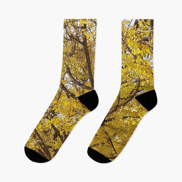 Item preview, Autumn, Autumn Trees, Autumn Photography, Maple Trees, Autumn Leaves designed and sold by bluesky26.
