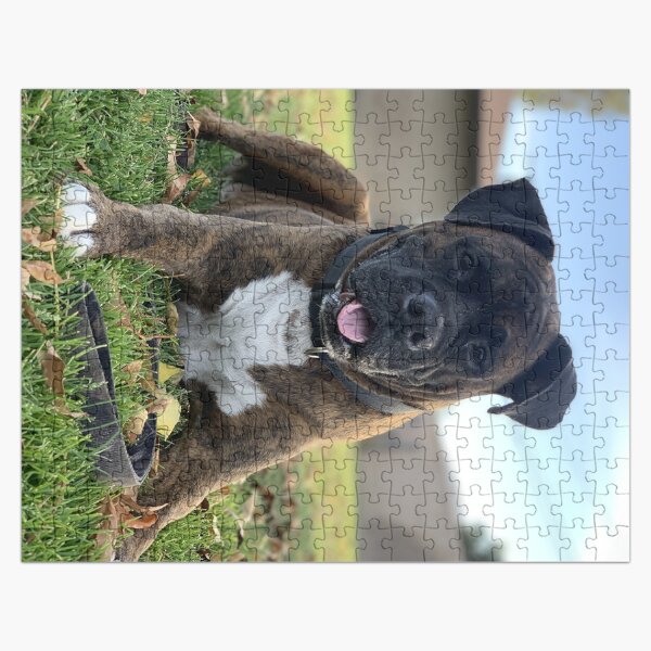 boxer dog jigsaw puzzles
