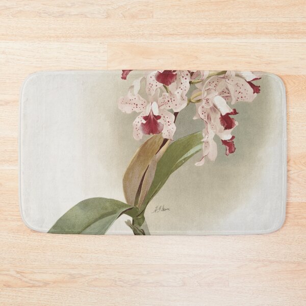 Item preview, Reichenbachia: Orchids Illustrated and Described designed and sold by EsotericBotanic.